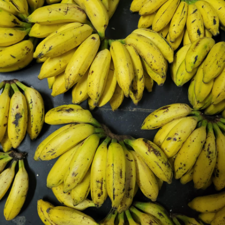 Poovan - Sugandhi - Bananas (99 rs/kg)