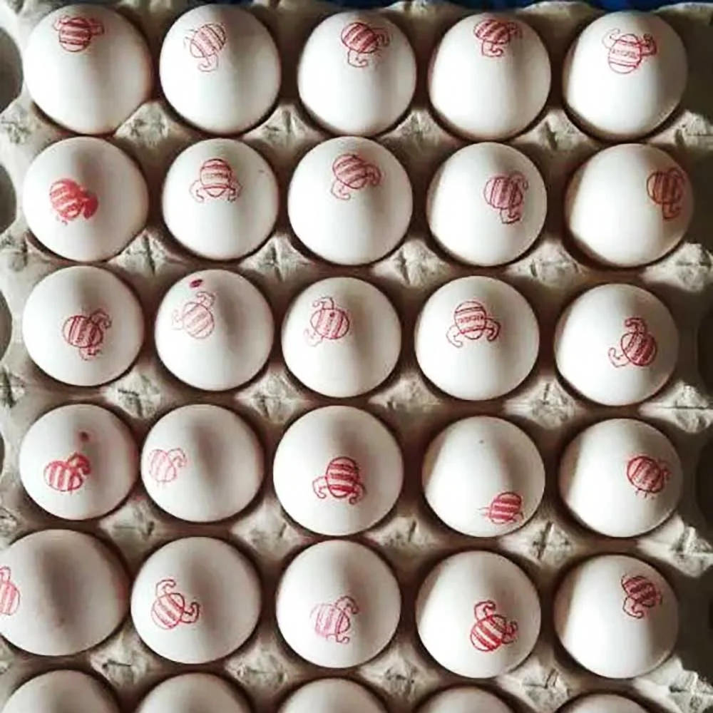 Yam Yam egg
