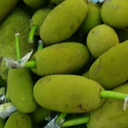 Baby Jackfruit - Natural 