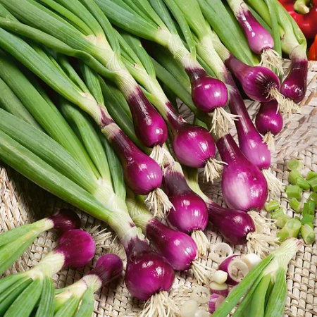 Spring Onion - Natural d