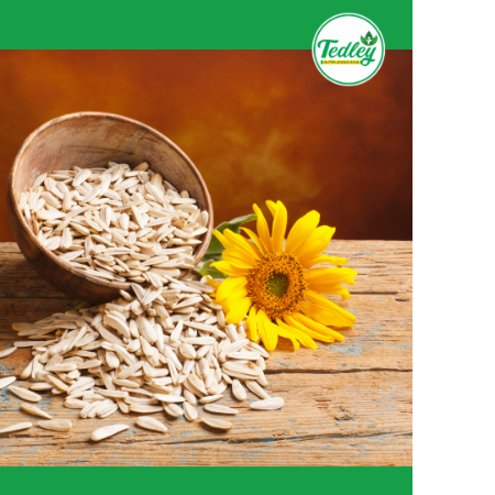 Sunflower Seeds 