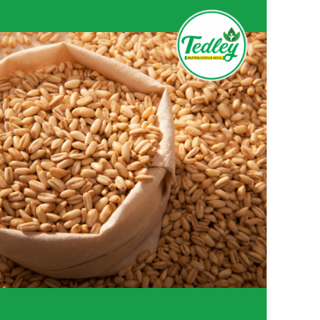 Barley