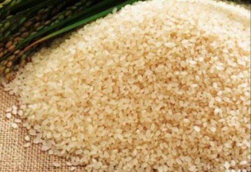 Xonseria Joha rice 