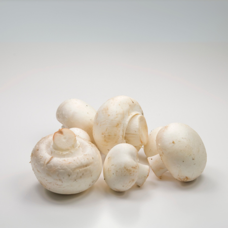 BUTTON MUSHROOM