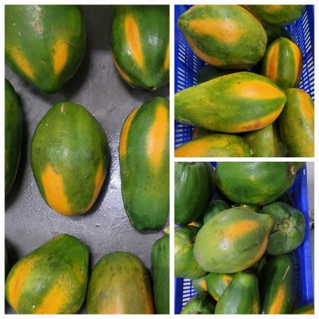Papaya - Natural 