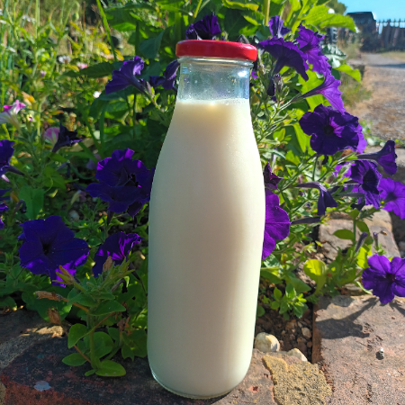  Skimmed milk - Red Top