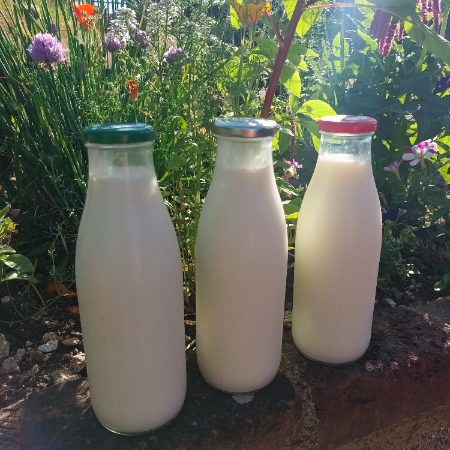  Skimmed milk - Red Top