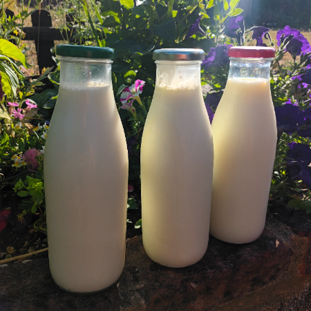 Semi-skimmed milk - Green Top