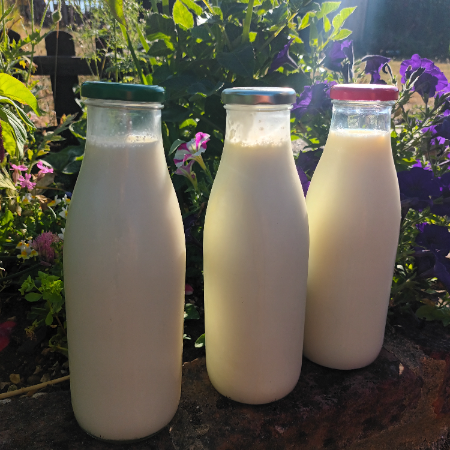 Farm Fresh Whole Milk - Silver Top
