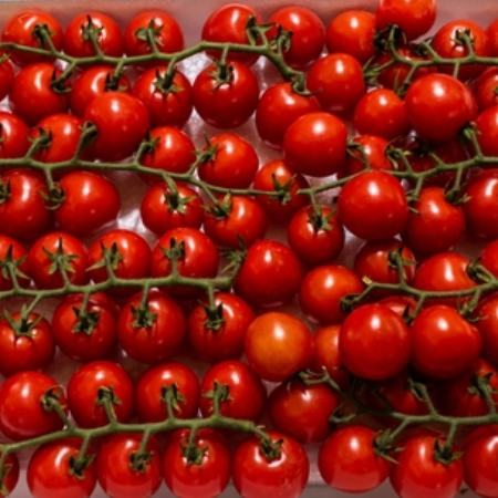 Cherry Vine Tomatoes 