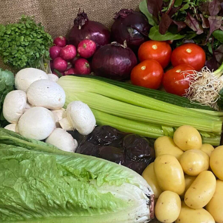 Salad Box