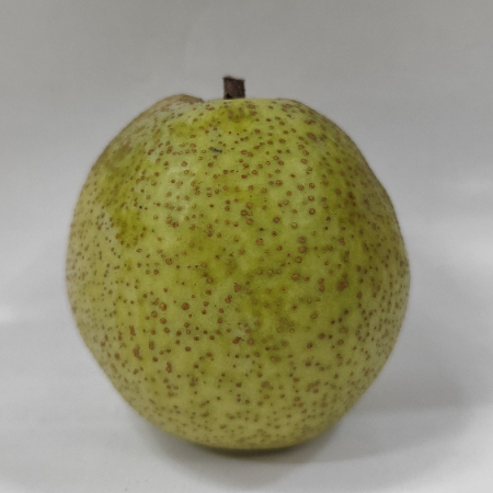 Pear Nakh