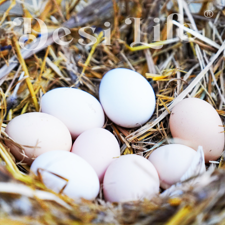 Original Country Eggs - 6 Pack (Free Range & Antibiotic Free)