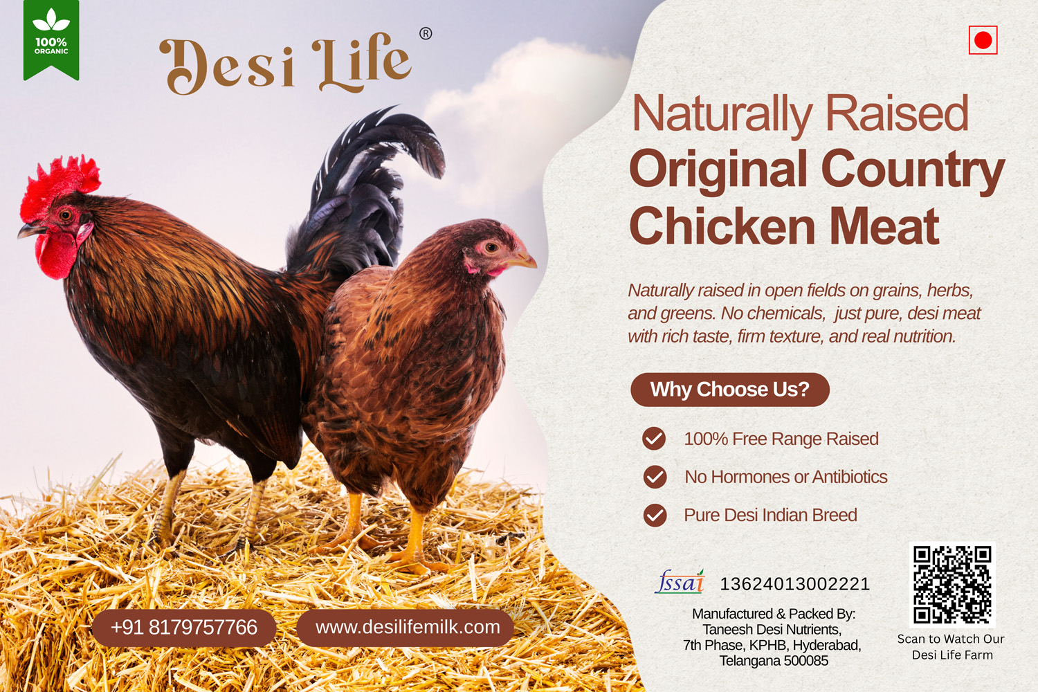 Village Country Chicken: 5-6 Month Free Range (Aseel | Gramapriya | Sonali)