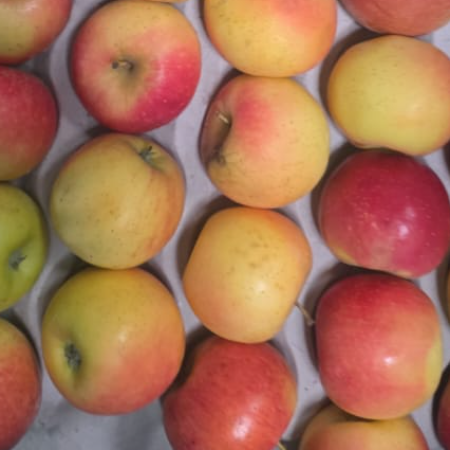 Royal Gala Apple - Natural