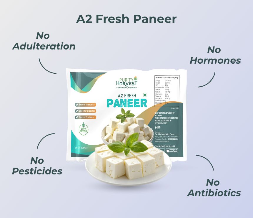 Fresh Paneer