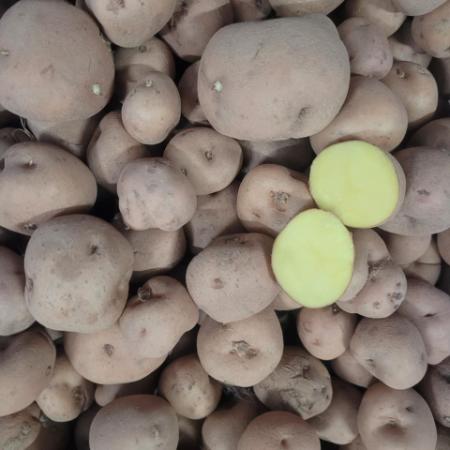 Red Aloo/Potato (From Bihar) - Natural