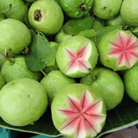 Guava Pink