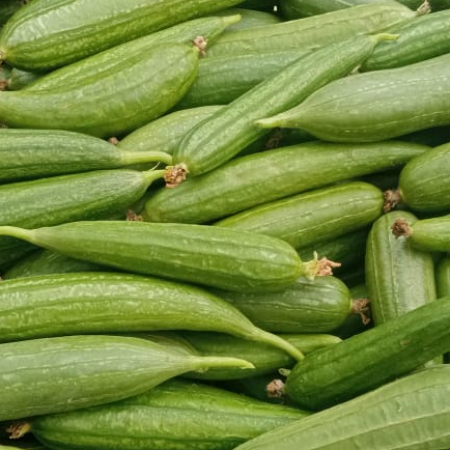 Satputia/Jhingi (from Bihar) - Seasonal