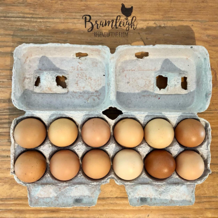 Bramleigh Free-Range Eggs - Box of 12