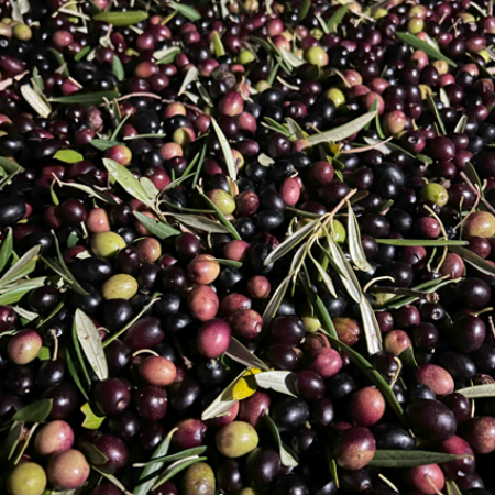 3L Extra Virgin Olive Oil