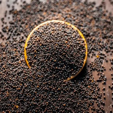 Seeds Rai Mustard