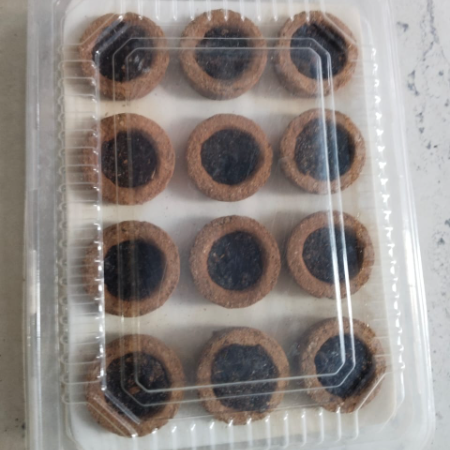 Cow Dung Sambrani Cups (12 pcs pack)