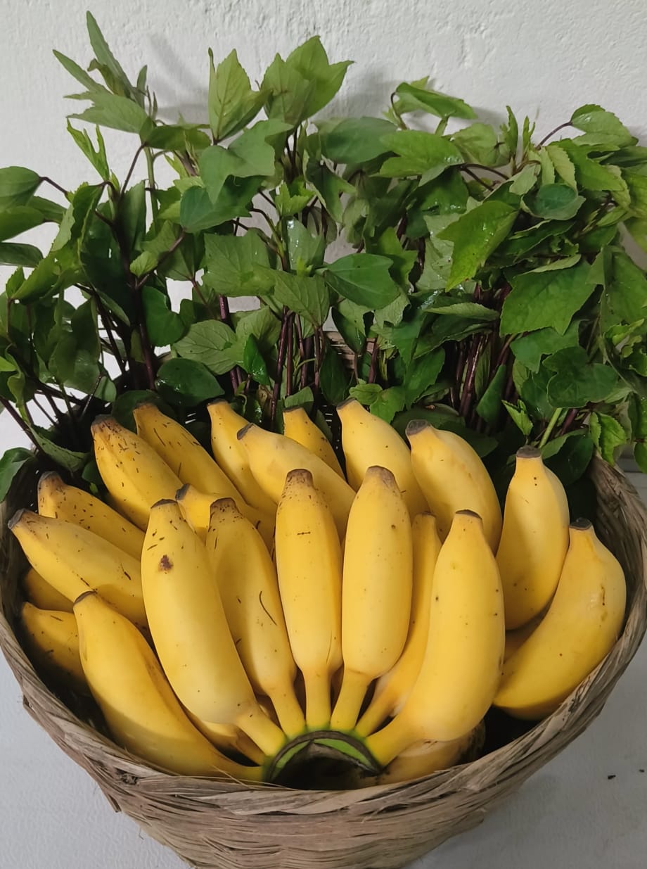 Yelakki Bananas - Natural (Semi-Ripen) 