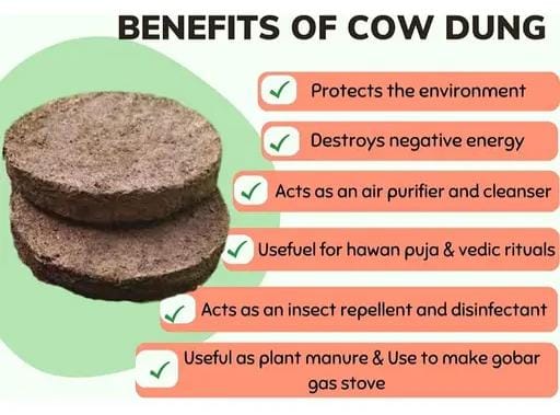 Desi Cow Dung Cakes (Pack of 10 pcs)