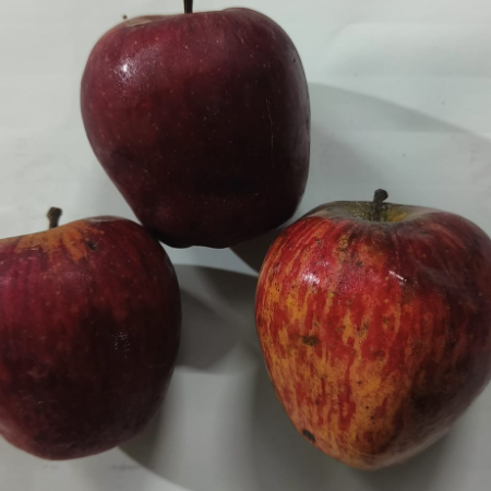 Royal Delicius Apples (Single point Press ) - Natural  