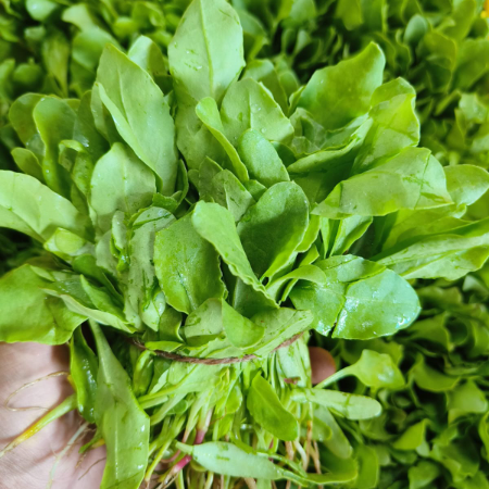 Baby Spinach - Natural