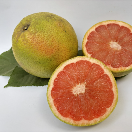 Pomelo Chakotra