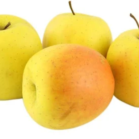 Golden Delicious Apple 