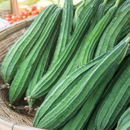 Ridge Gourd/Jhingi
