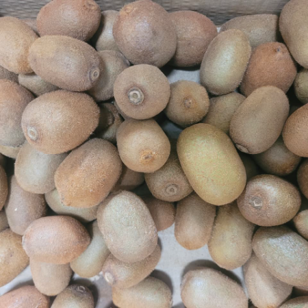 Kiwi