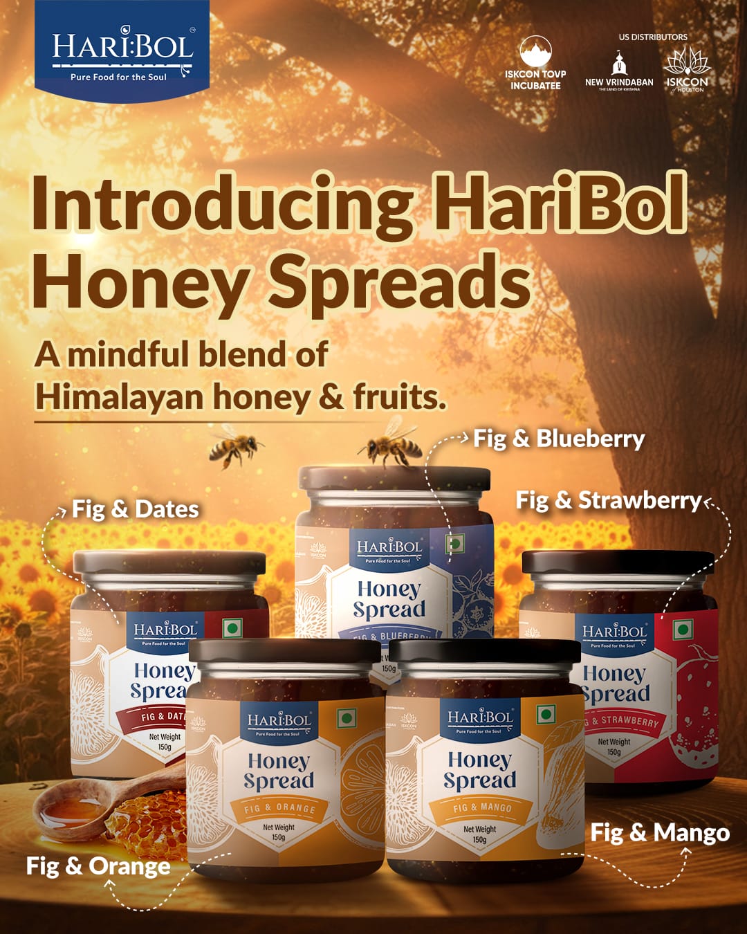 Honey Spread Combo Of 3 Flavours 