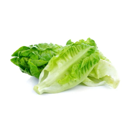 Sweet Heart Lettuce 3heads