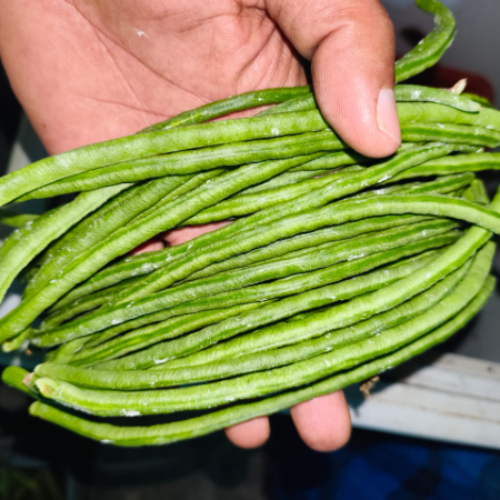 Desi Long Beans (Bihari Variety) - Natural
