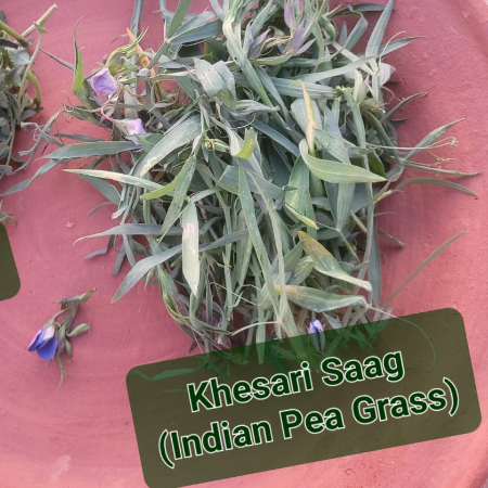 Khesari Leaf/Saag (Indian Pea Green) - Natural
