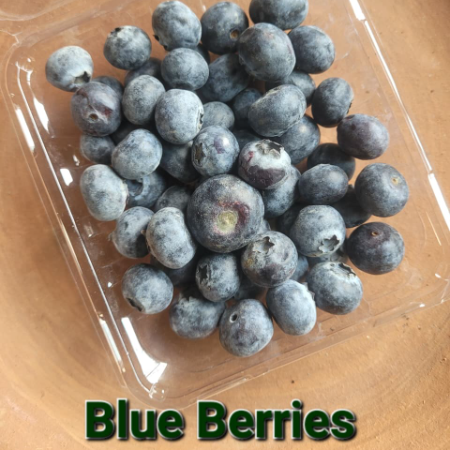 Blueberries - Natural