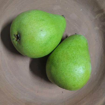 Pear fruit - Natural.