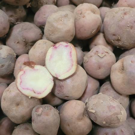 Red Aloo/Potato (From Bihar) - Natural