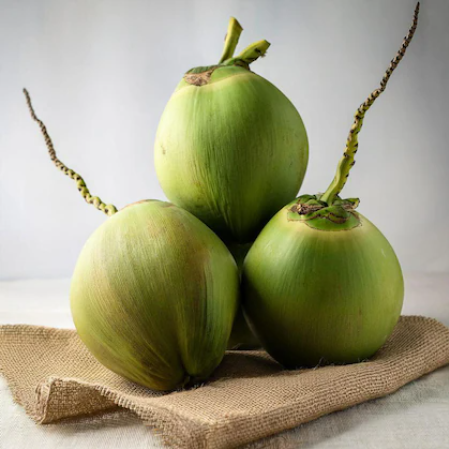 Tender Coconut - Natural