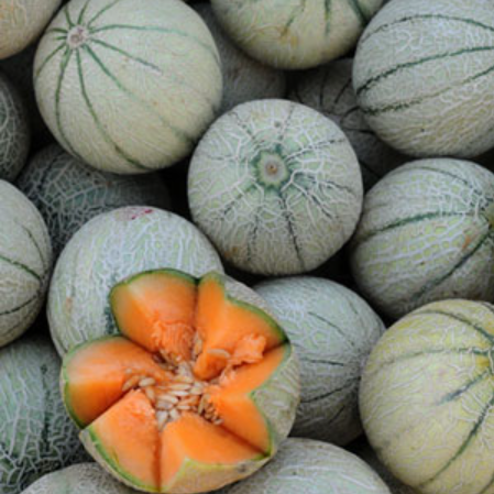 Musk Melon - Natural