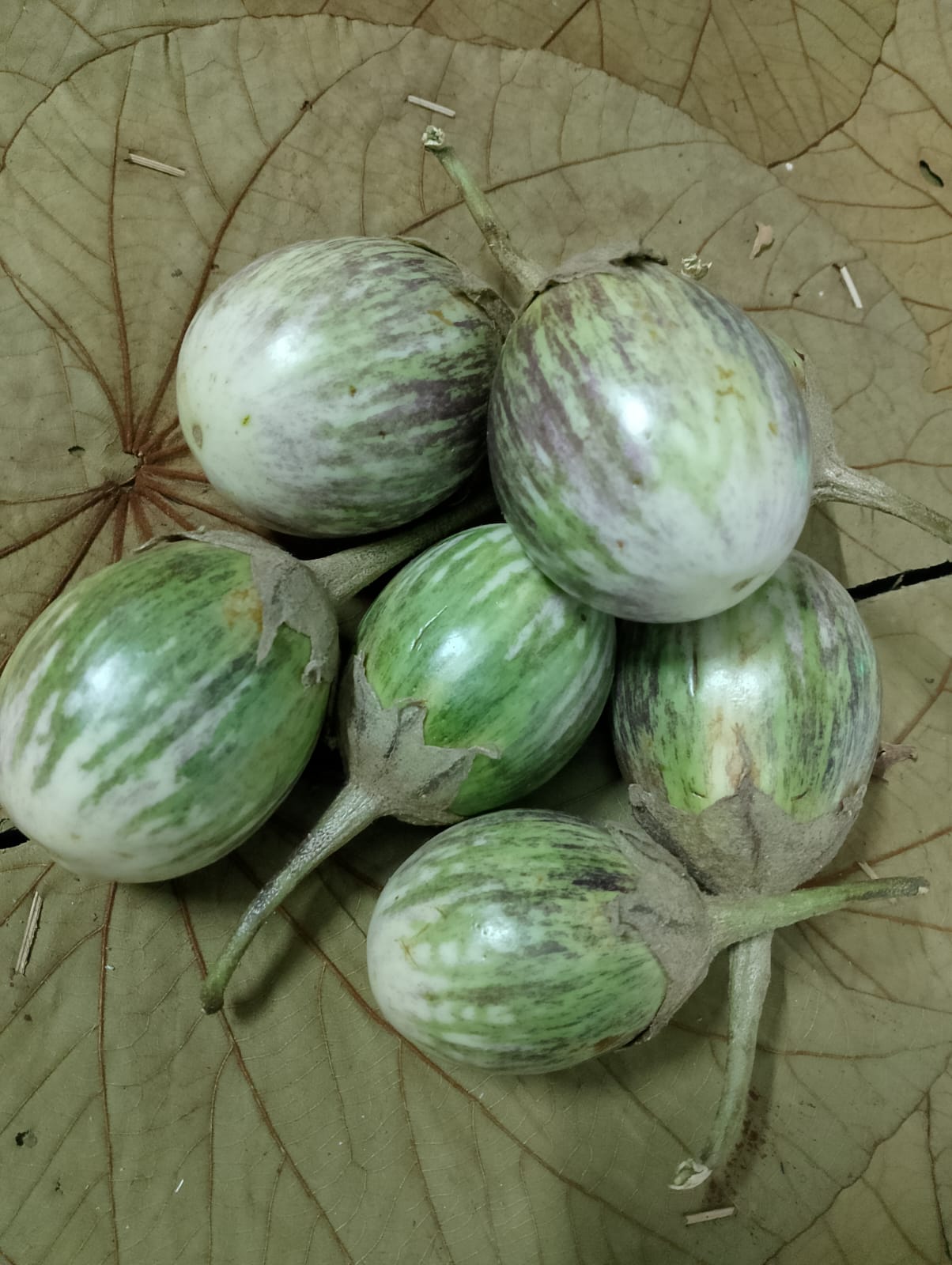 Desi/Native Brinjal (Round) (Tue-Fri)