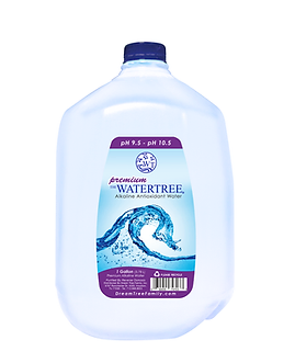 5 Gallon Premium Container