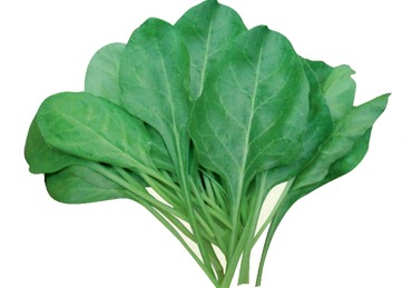 palak