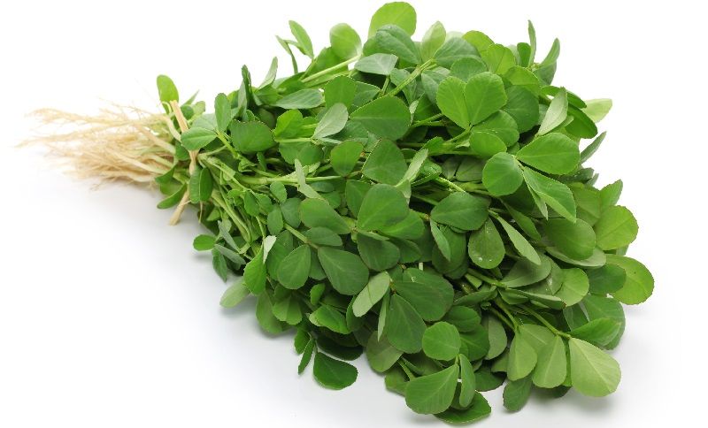 Methi (Fenugreek)