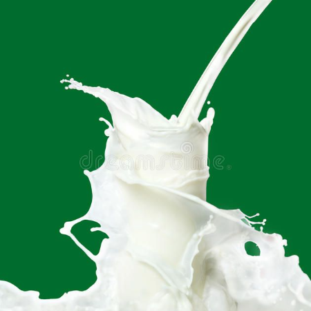 Cow Milk