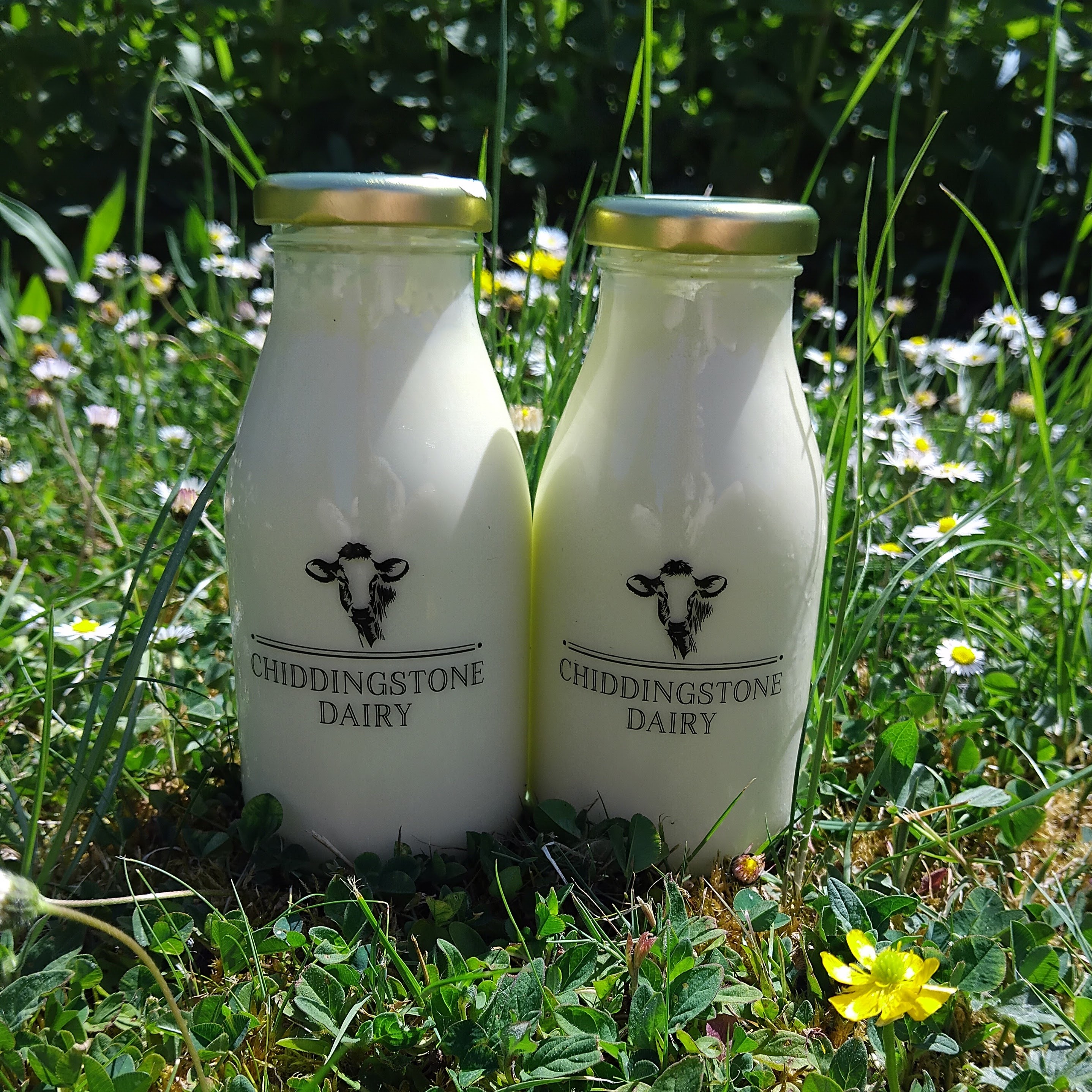 Special Offer (2x Double Cream 250ml)